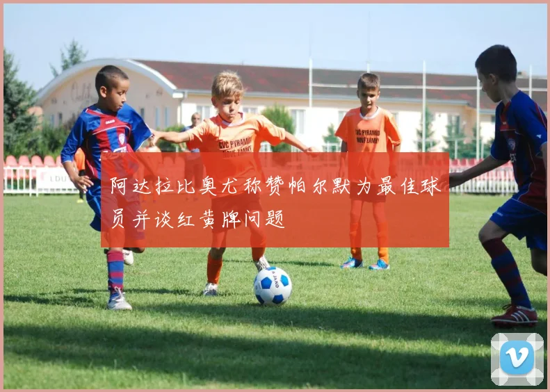 阿达拉比奥尤称赞帕尔默为最佳球员并谈红黄牌问题