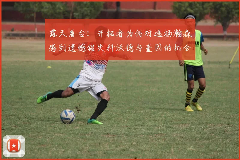 露天看台：开拓者为何对选杨瀚森感到遗憾错失科沃德与奎因的机会